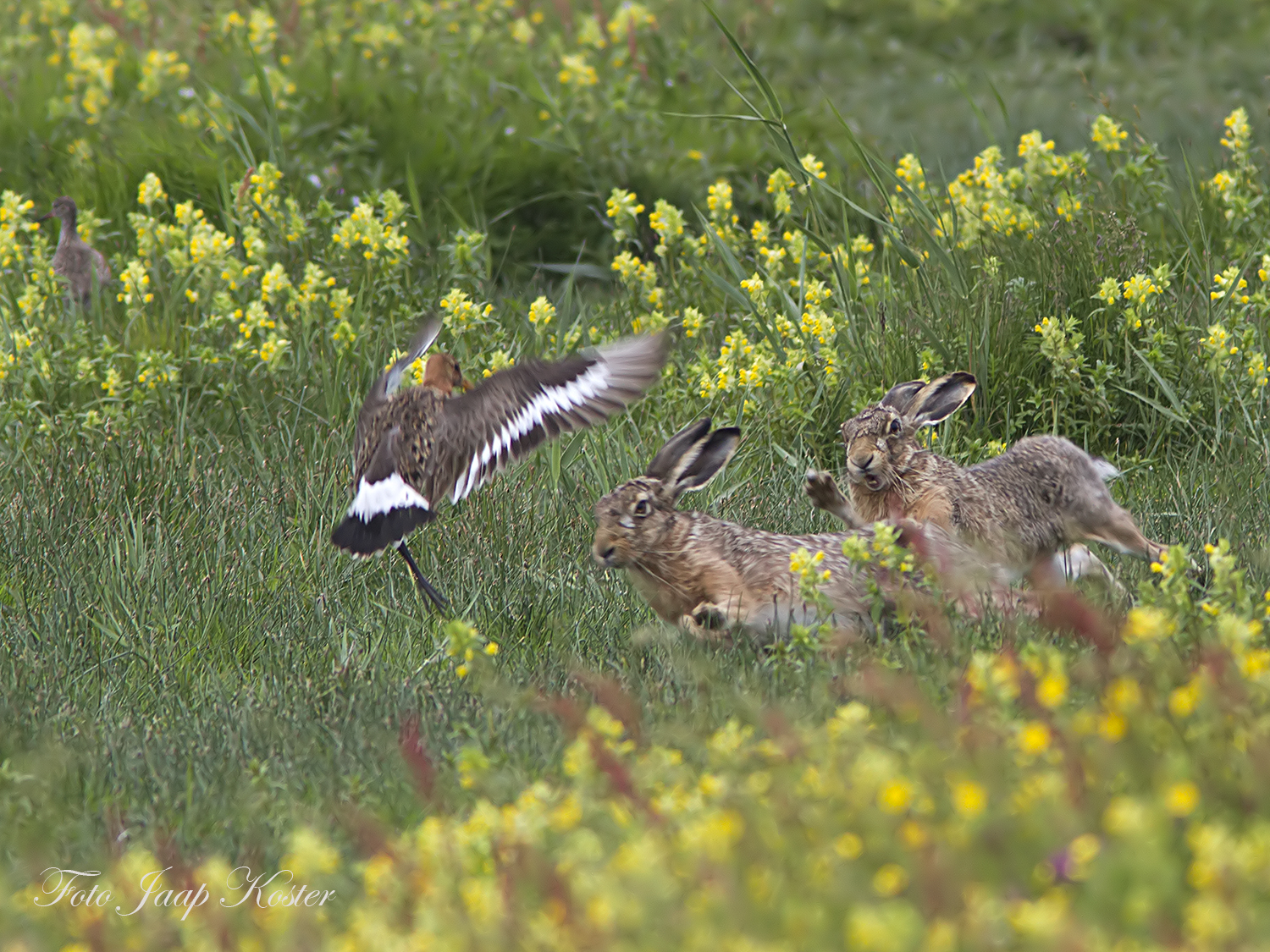 Stop wij broeden hier.